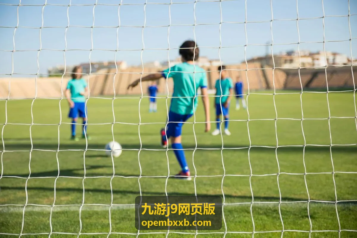 九游j9网页版j9数据使用流程效果示意